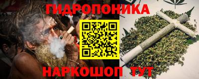 гашик Кунгур