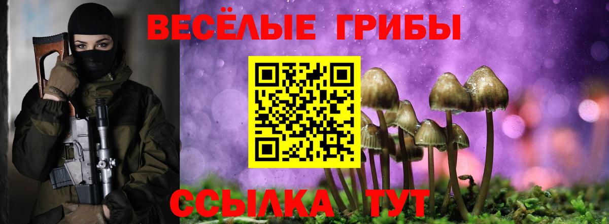 Псилоцибиновые грибы мухоморы Карпинск
